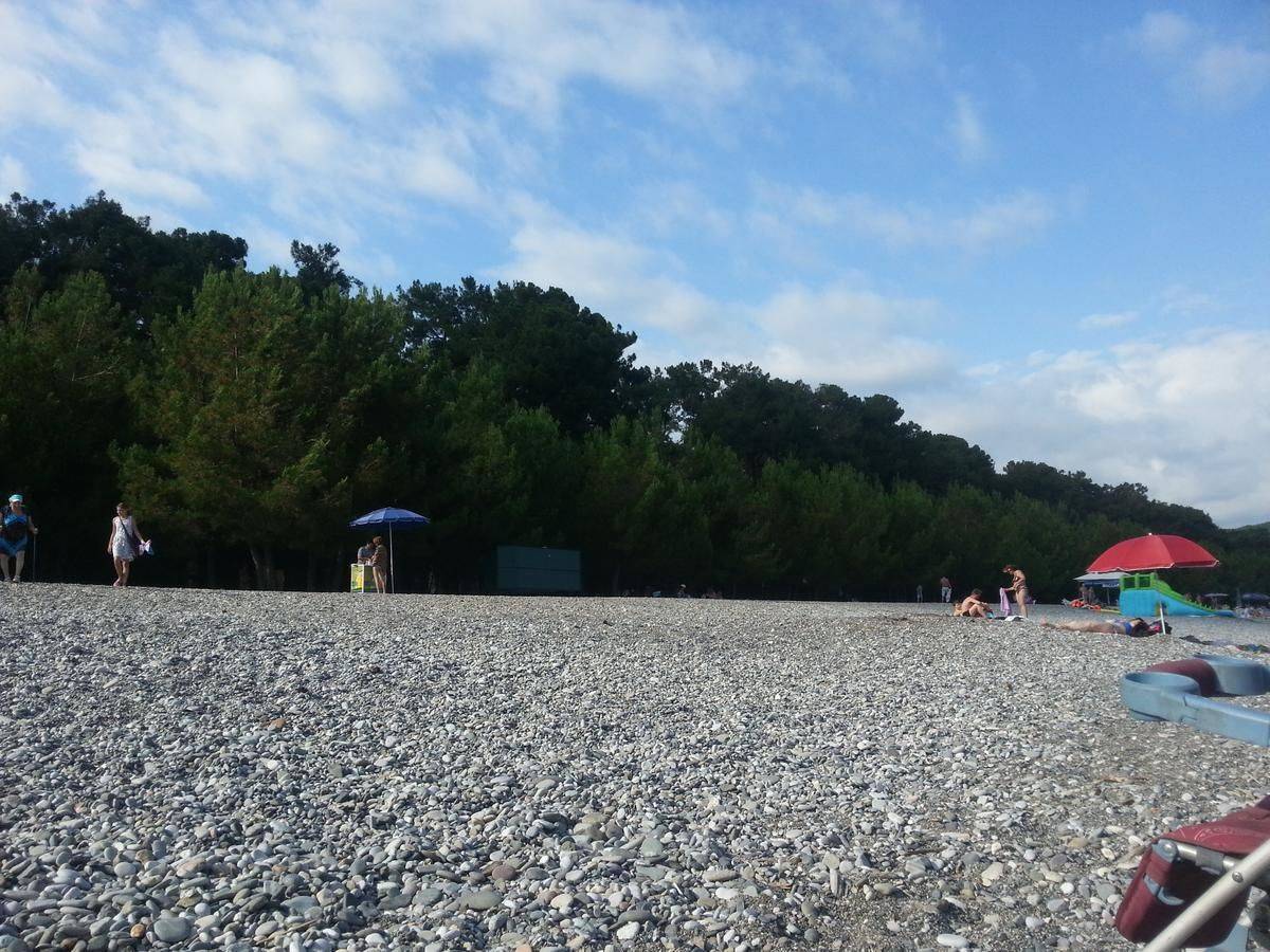 Абхазия пицунда рыбозавод. Пляж лдзаа 2022. Пицунда лдзаа рыбзавод. Веб камеры пляж лдзаа. Веб камеры пляж лдзаа.